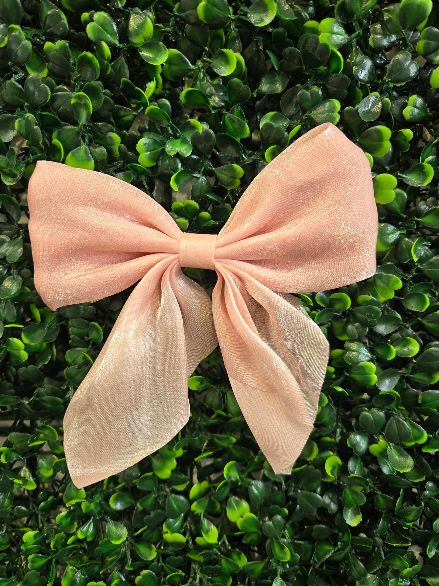 Stardream Hair Bows