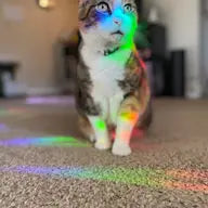 Sunshine & Rainbow Suncatcher Prism Sticker
