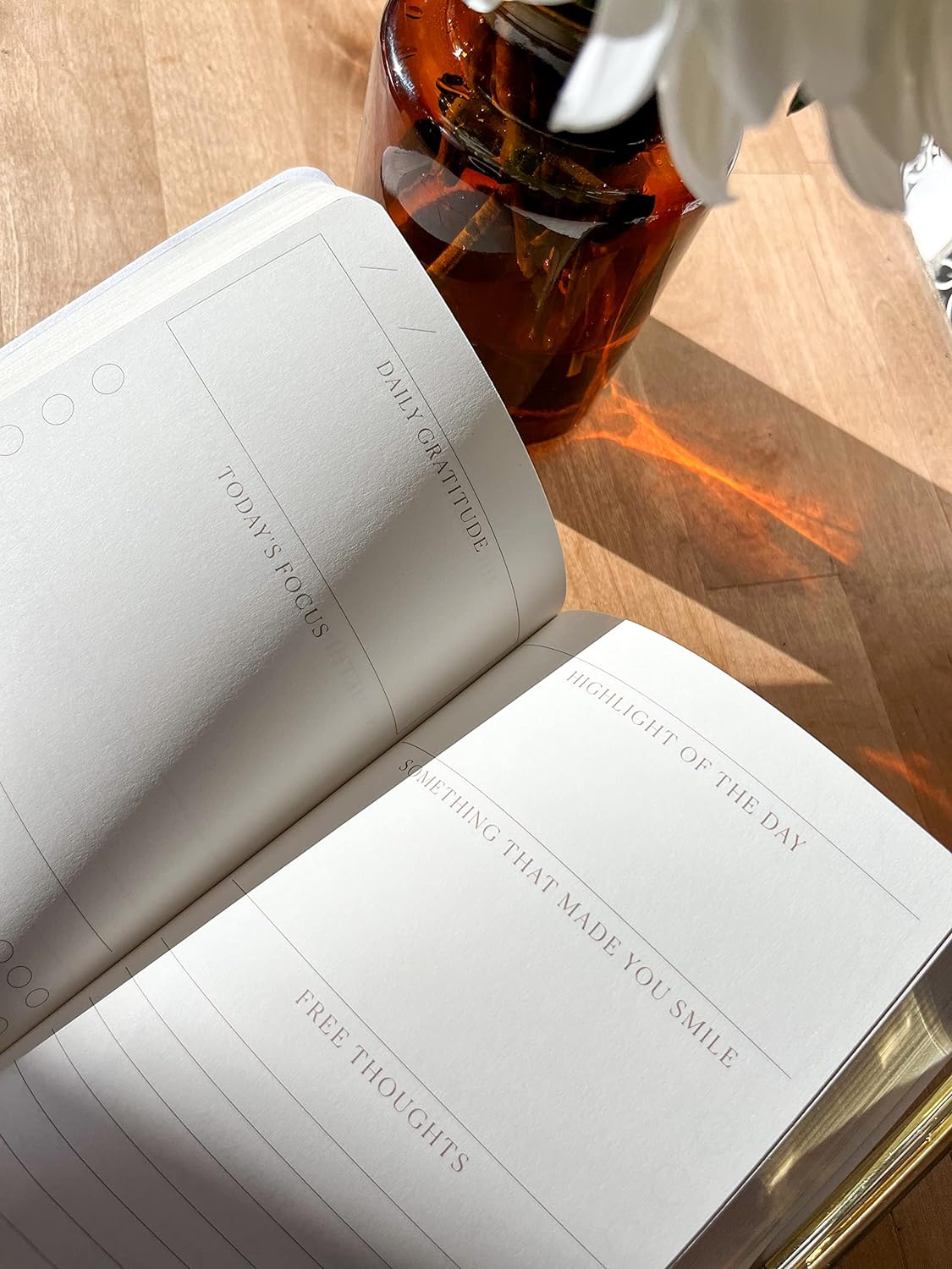 Gratitude Journal - Picnic