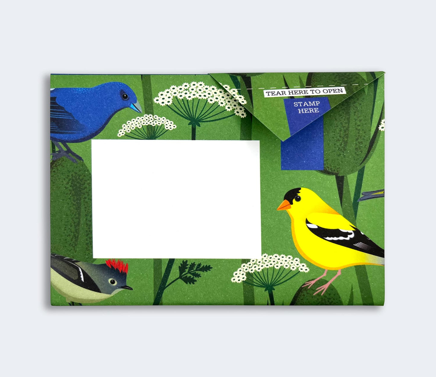 Carnival of Color Pigeon Pack