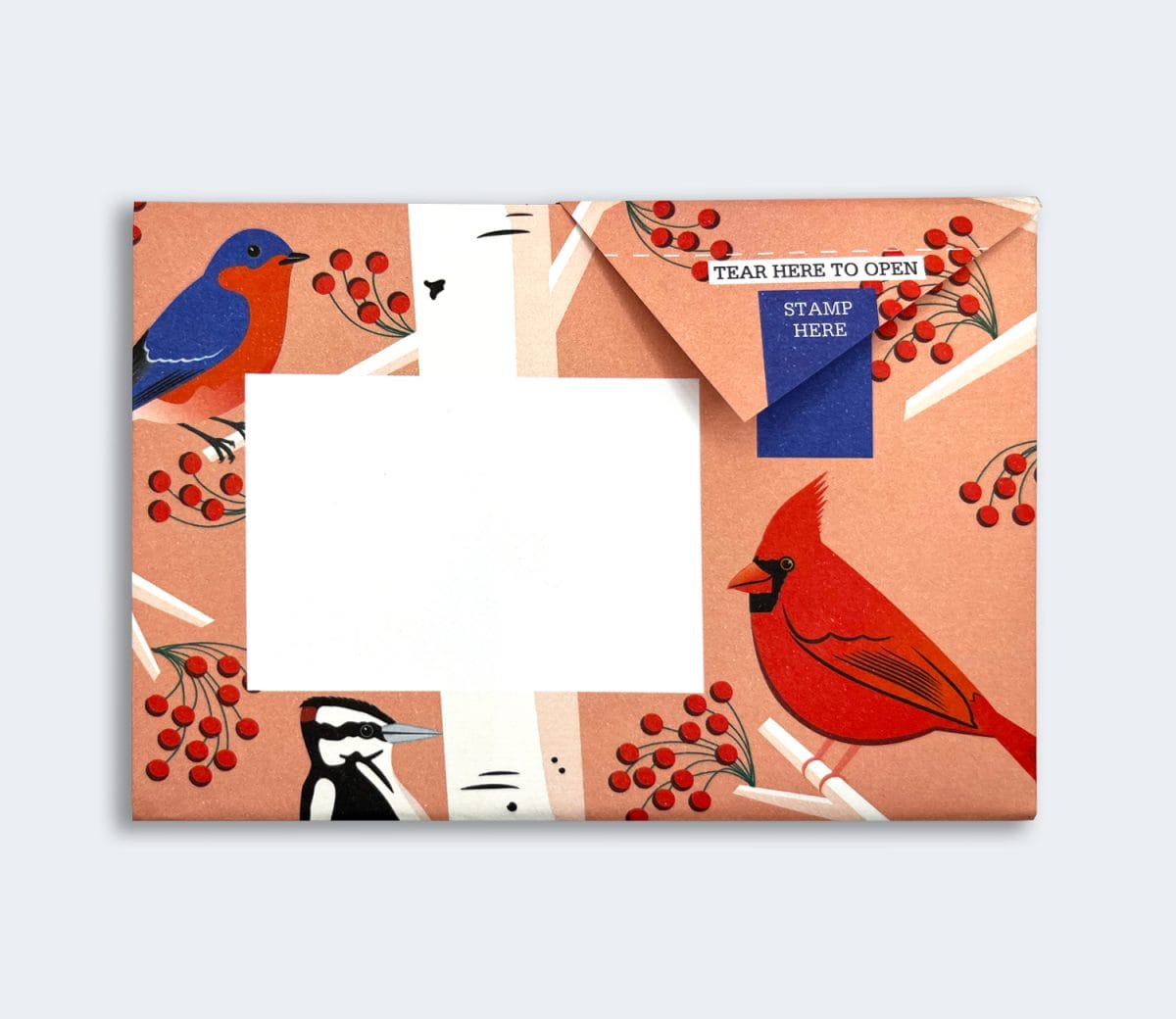 Carnival of Color Pigeon Pack