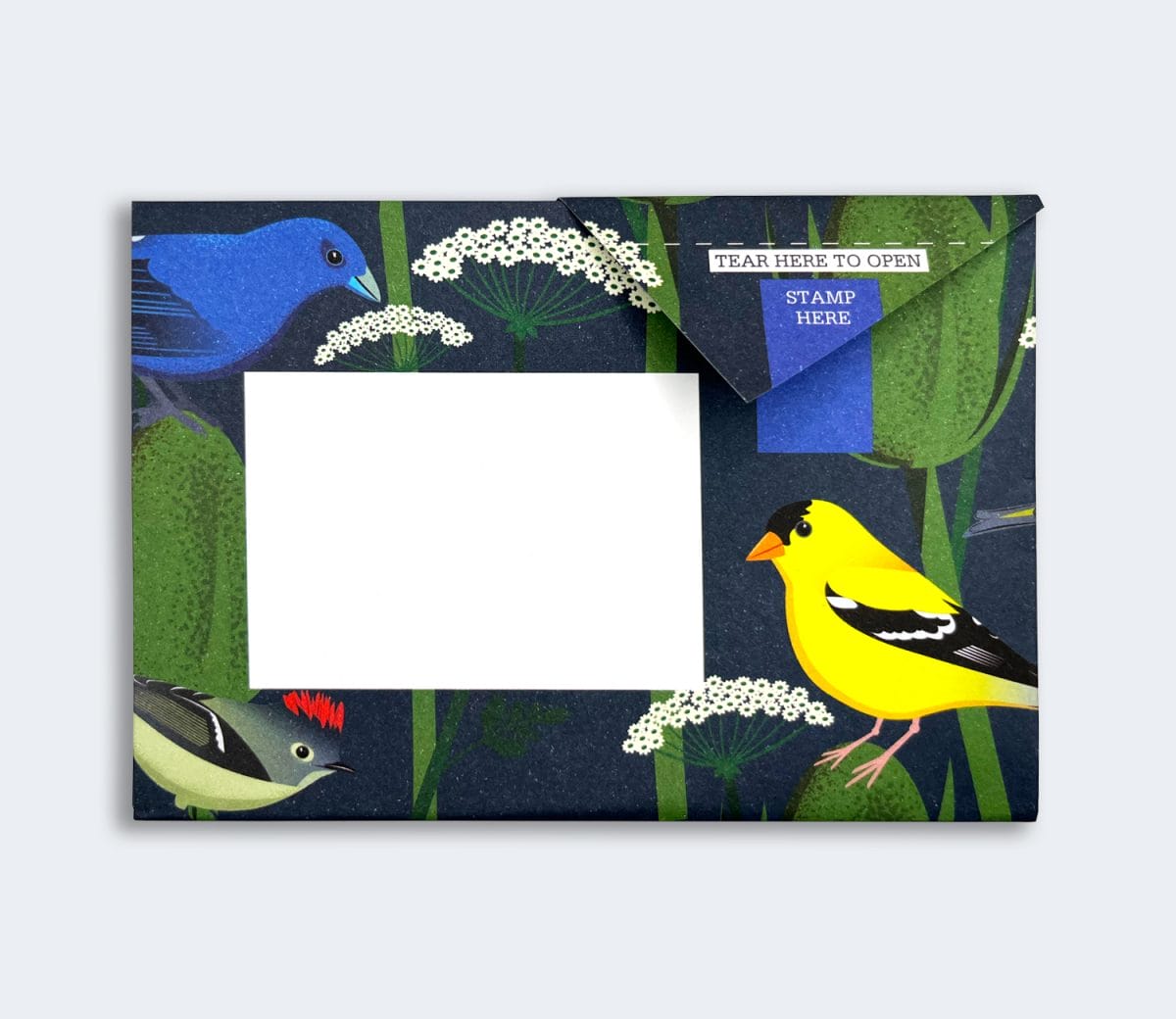 Carnival of Color Pigeon Pack