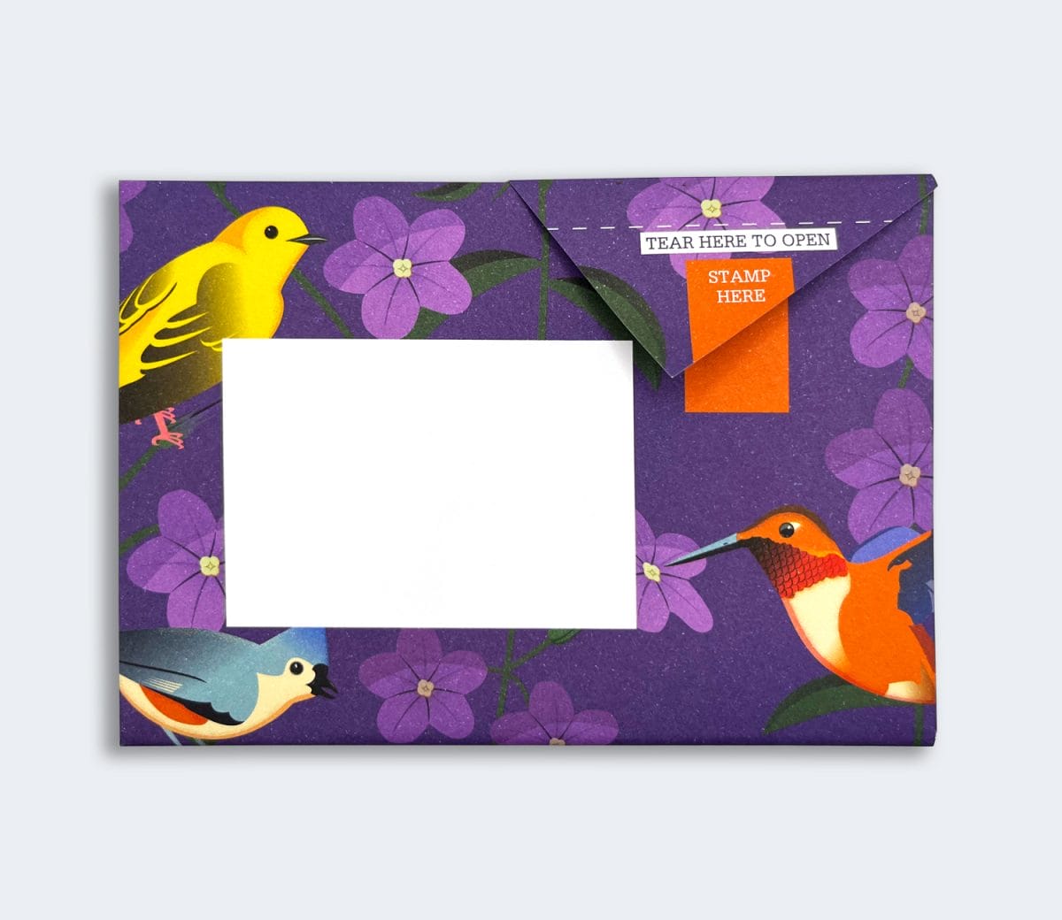 Carnival of Color Pigeon Pack