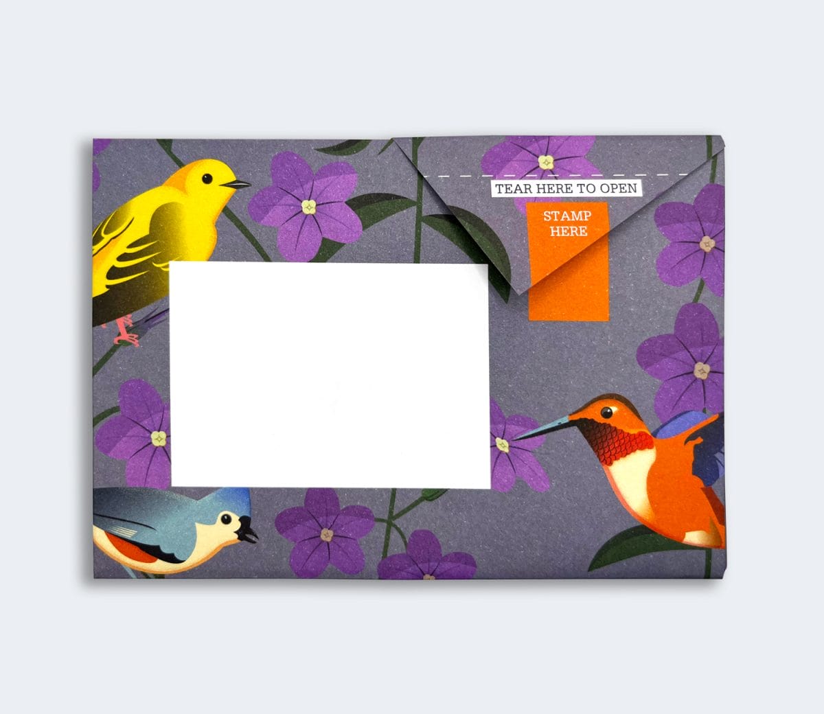 Carnival of Color Pigeon Pack