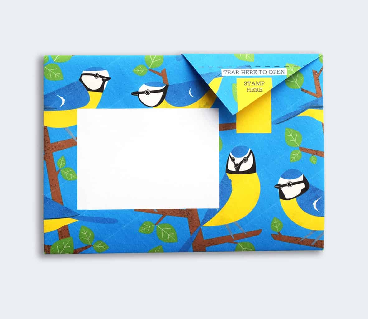 Dawn Chorus Pigeon Pack