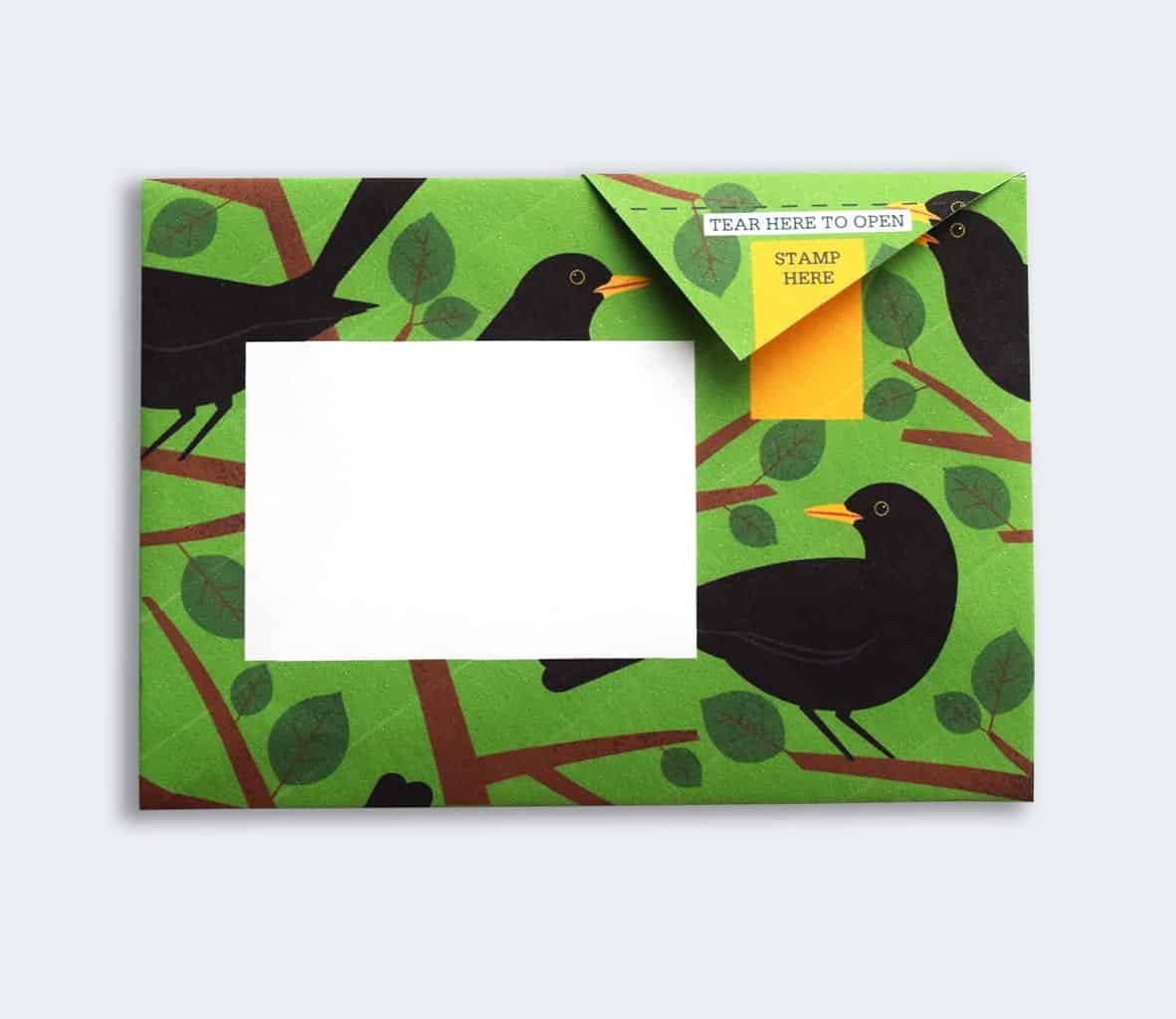 Dawn Chorus Pigeon Pack