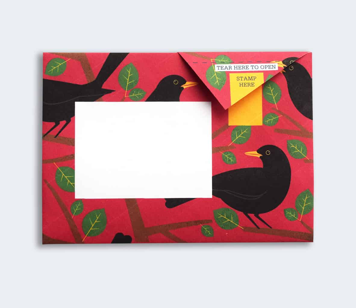 Dawn Chorus Pigeon Pack