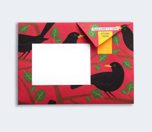 Dawn Chorus Pigeon Pack