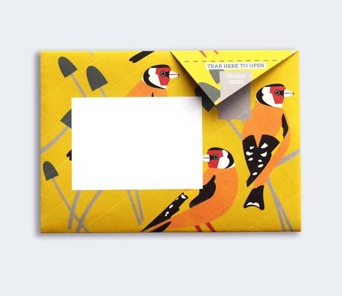 Dawn Chorus Pigeon Pack