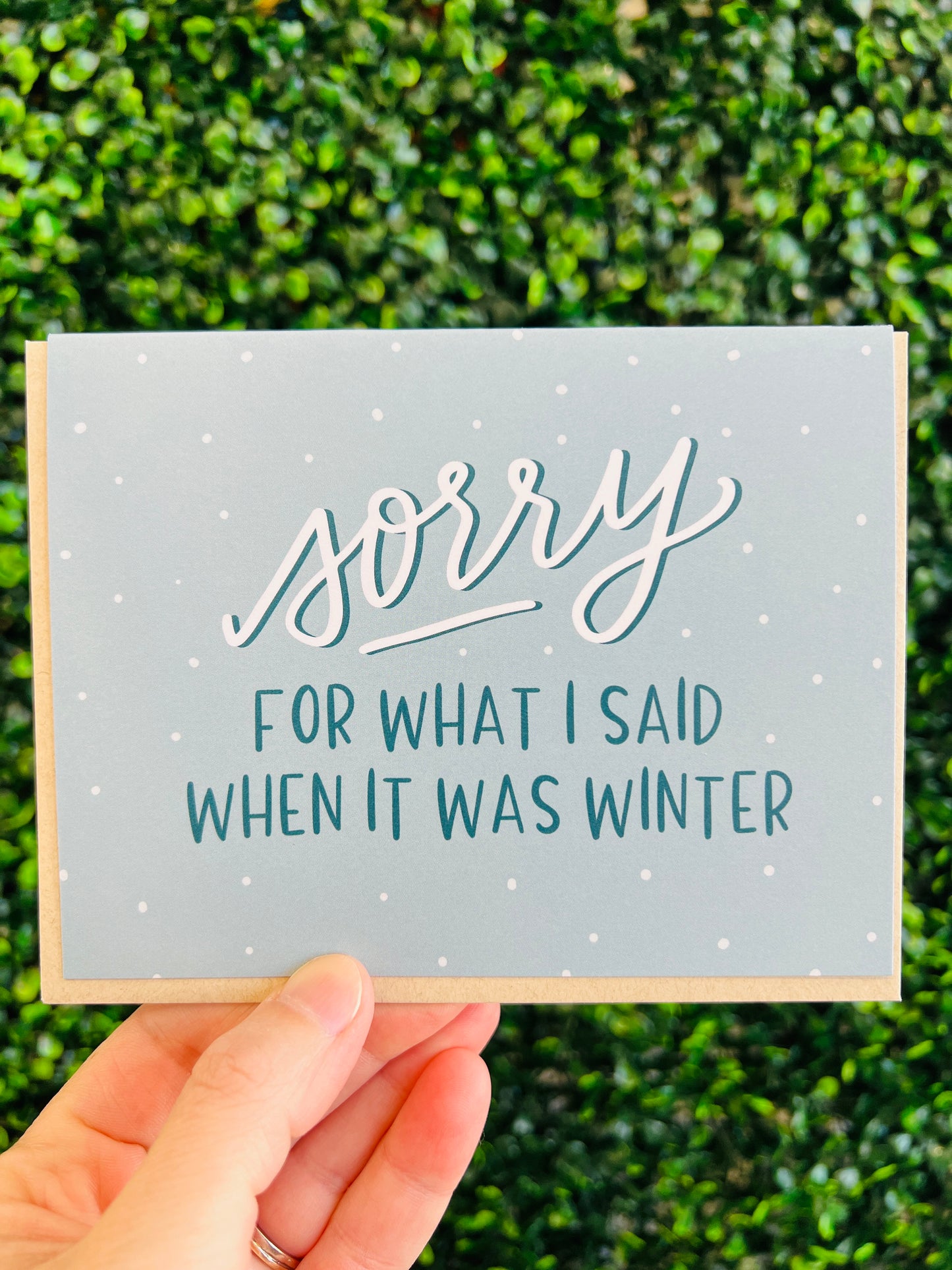 Sorry for What I Said When It Was Winter Card