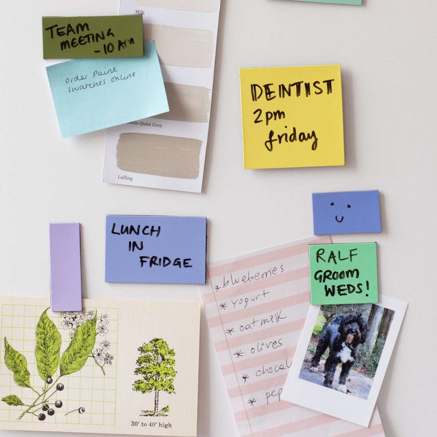 Memo Magnets