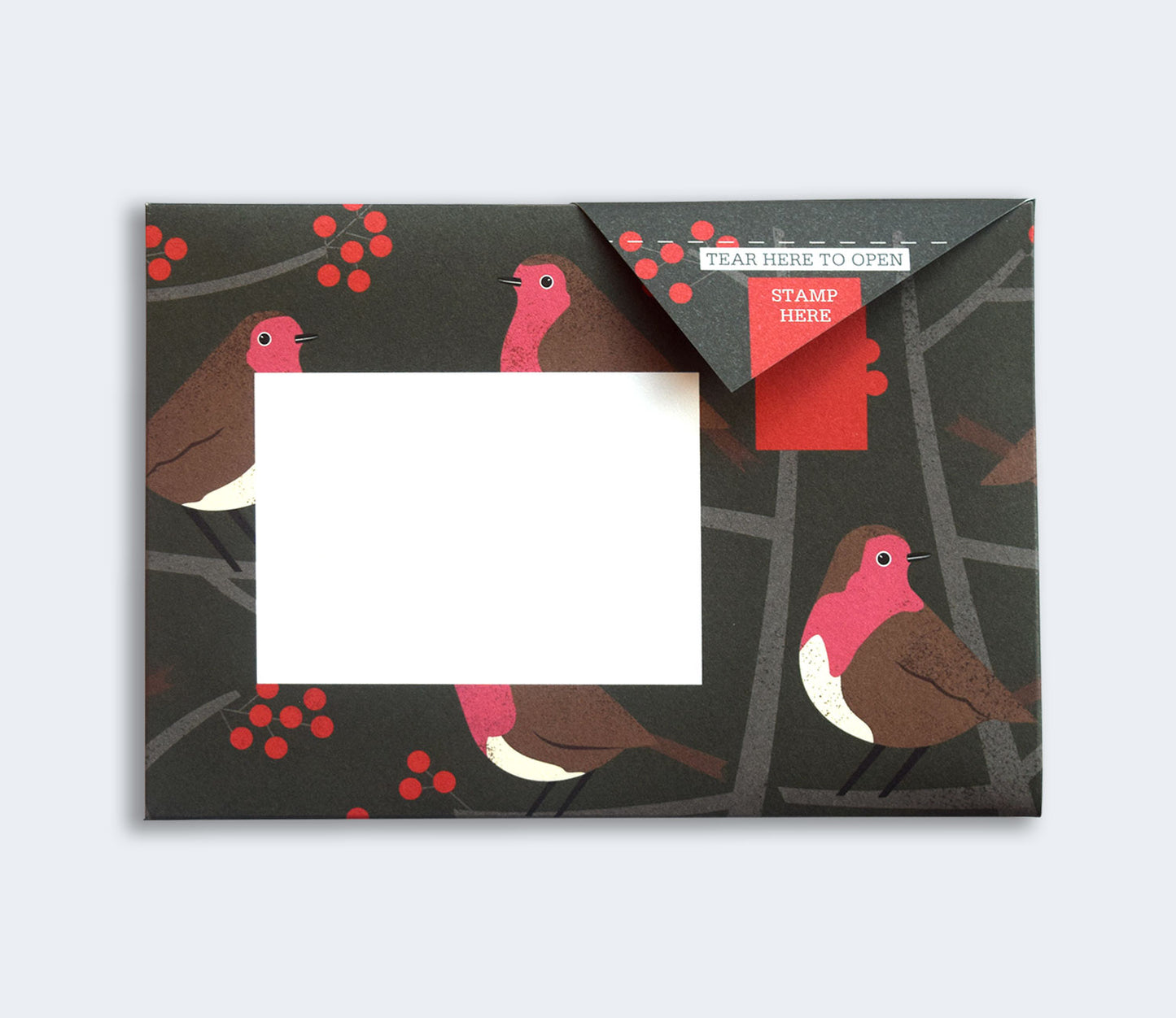 Robin & Wren Pigeon Pack