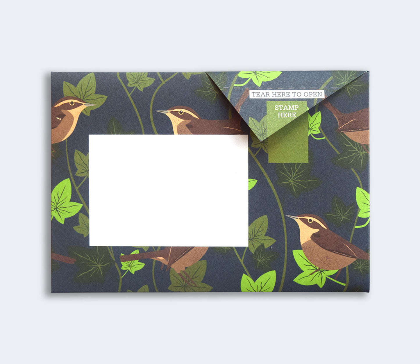 Robin & Wren Pigeon Pack