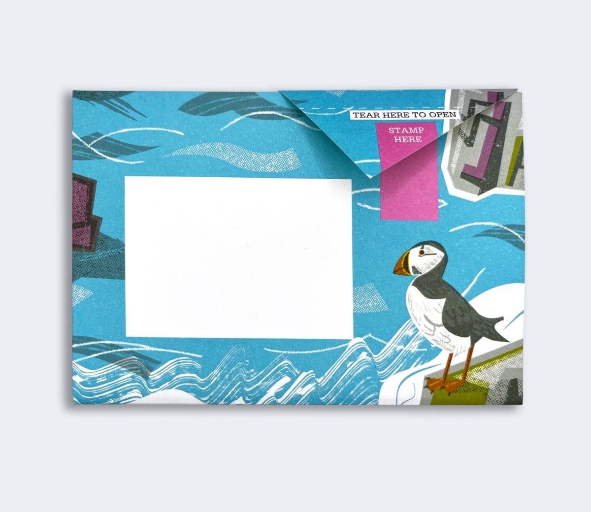 Safe Harbour Pigeon Pack