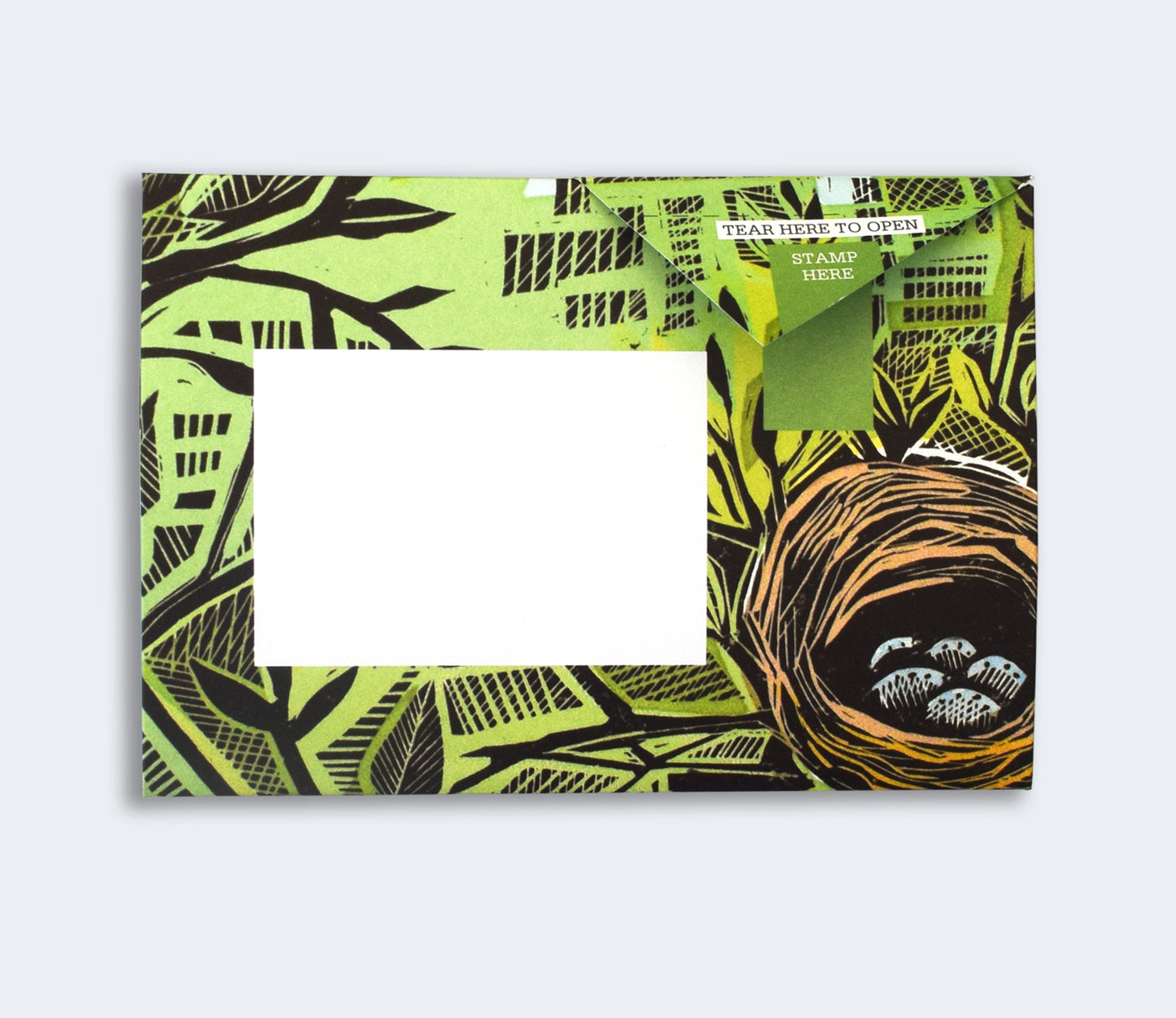 Wonderfully Wild Pigeon Pack