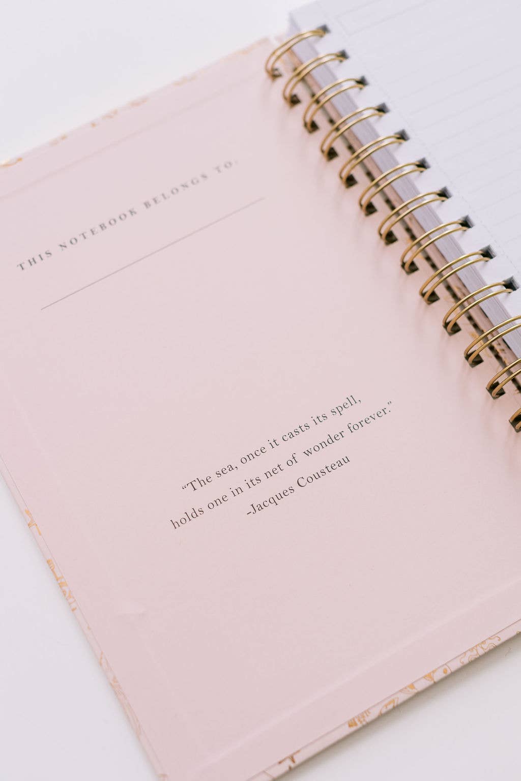 Underwater Ball Spiral Notebook - Pink