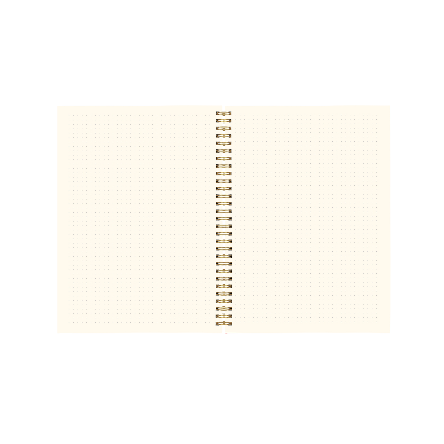 Daisy Check Bullet Journal