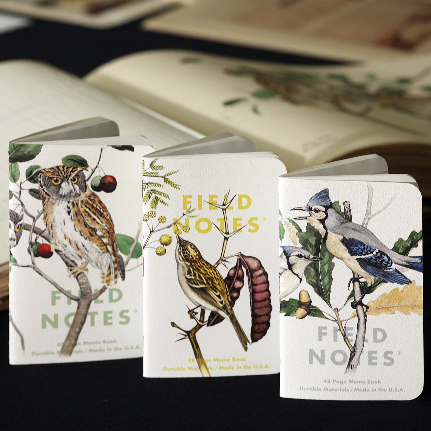 Birds and Trees of North America: Pack A