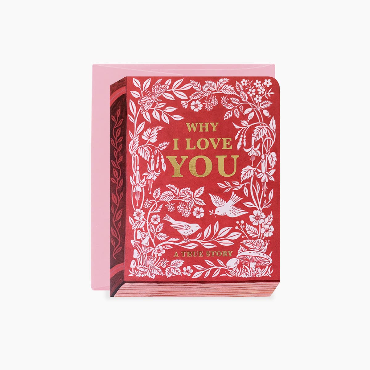 Why I Love You Storybook
