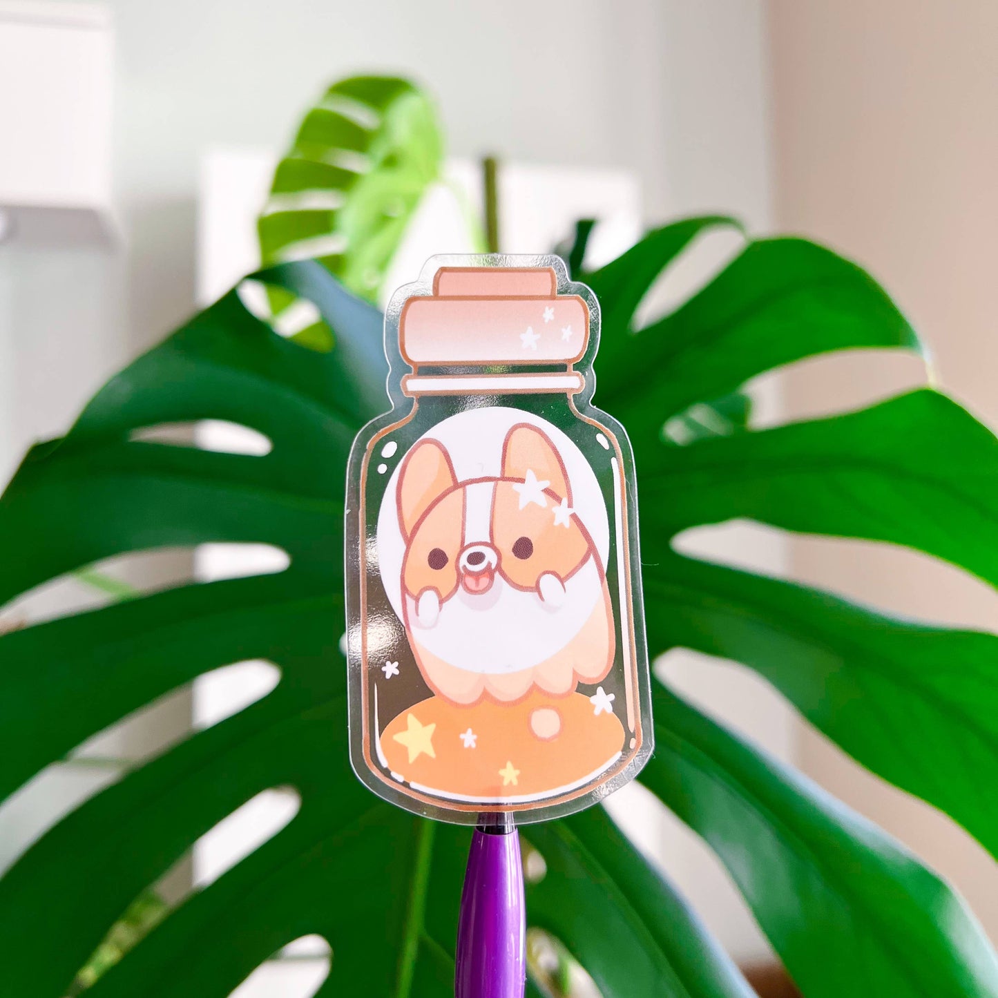 Corgi in a bottle