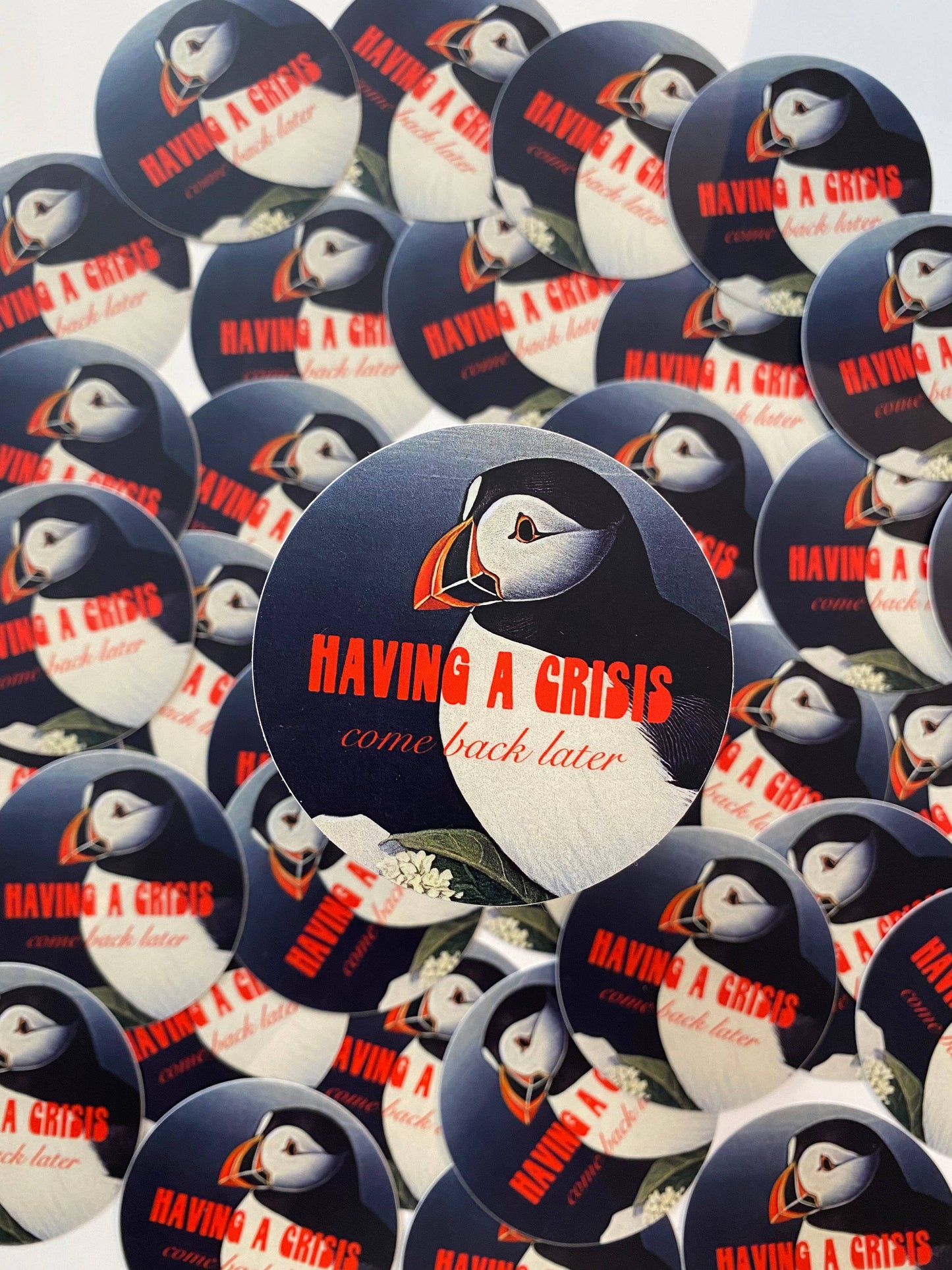 Having a Crisis Sticker