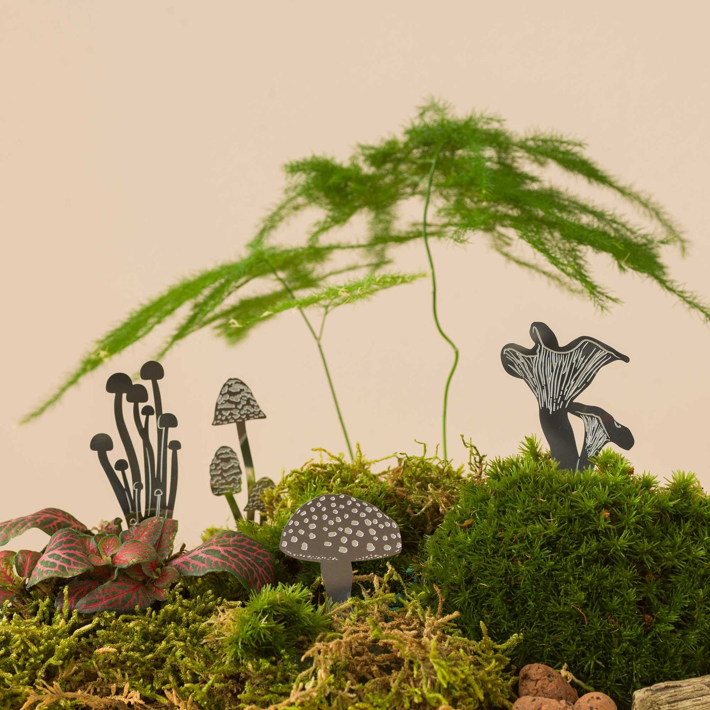 Mini Mushroom plant decor