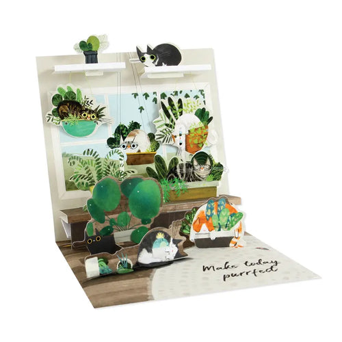 Cats in Plants
