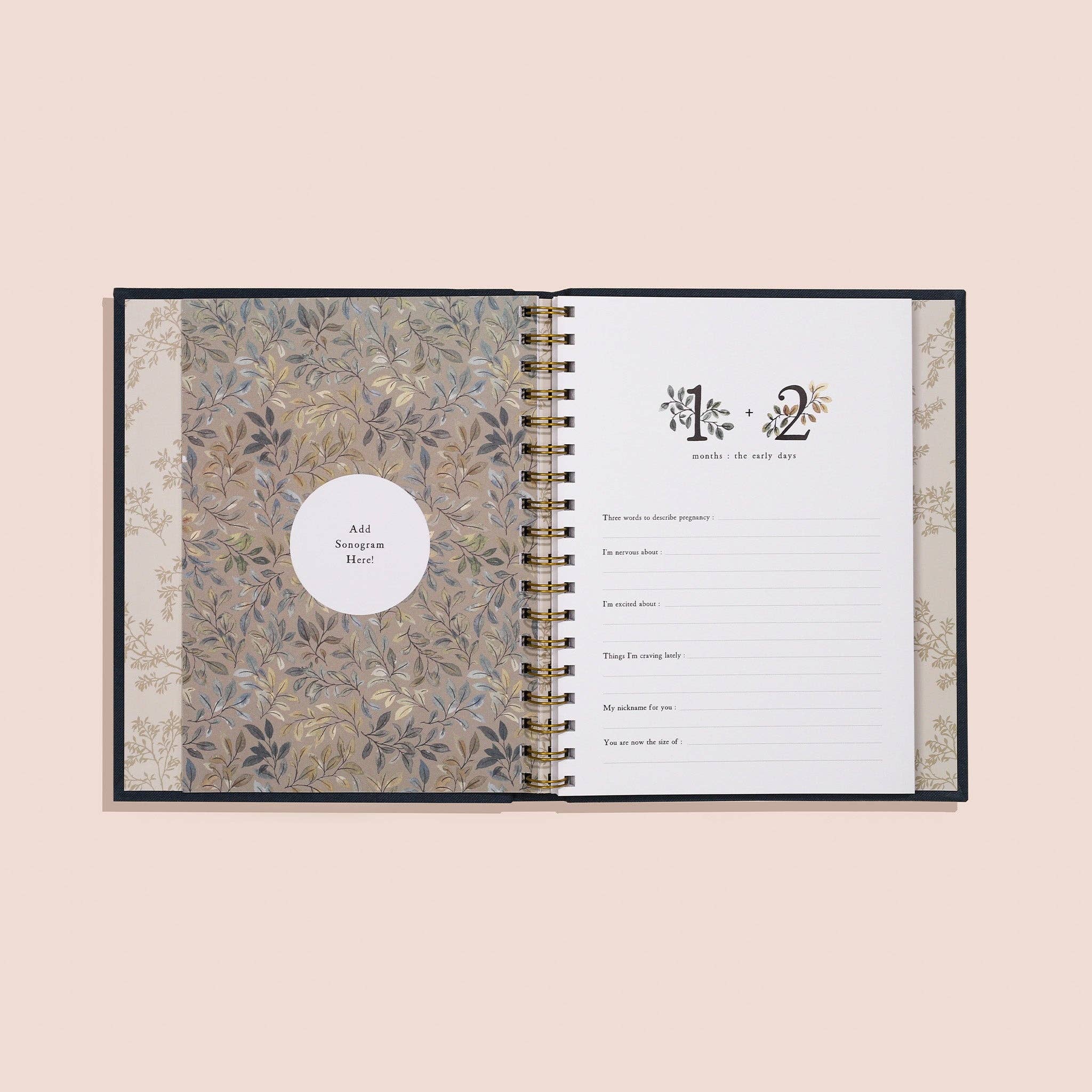 Growing You: Pregnancy Guided Journal and Keepsake Book