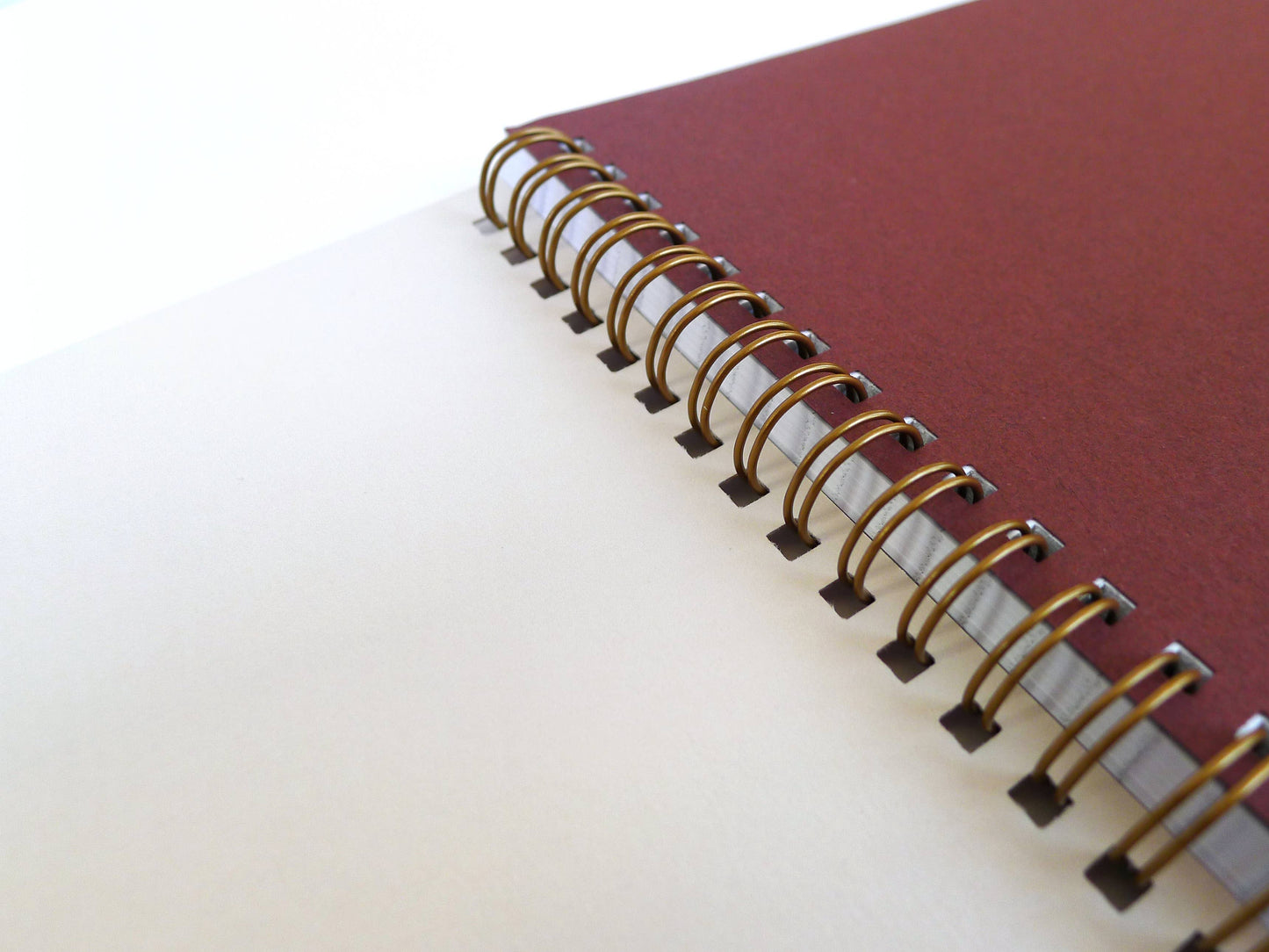 Sawtooth Coil Notebook- Blank