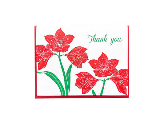 Amaryllis Thank You Card