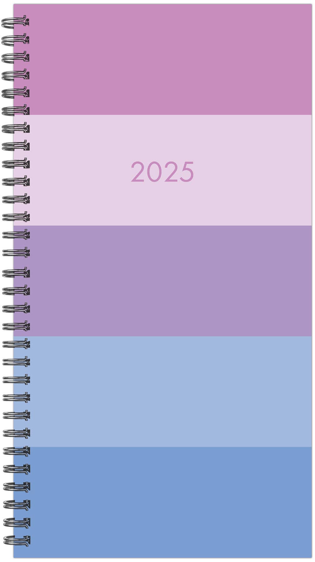 Soft Stripe 2025 Weekly Planner- Small