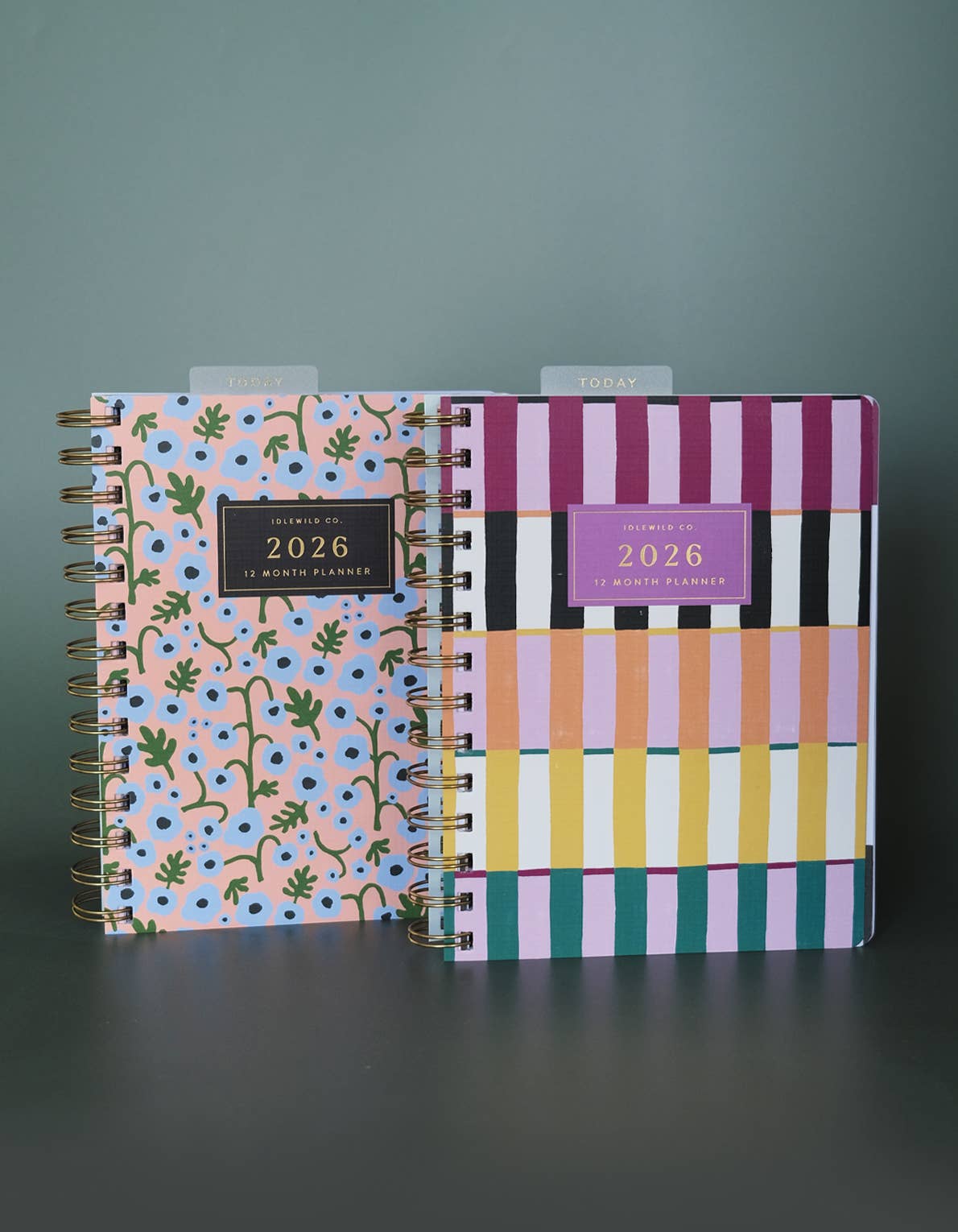 Painted Stripes 2026 Planner
