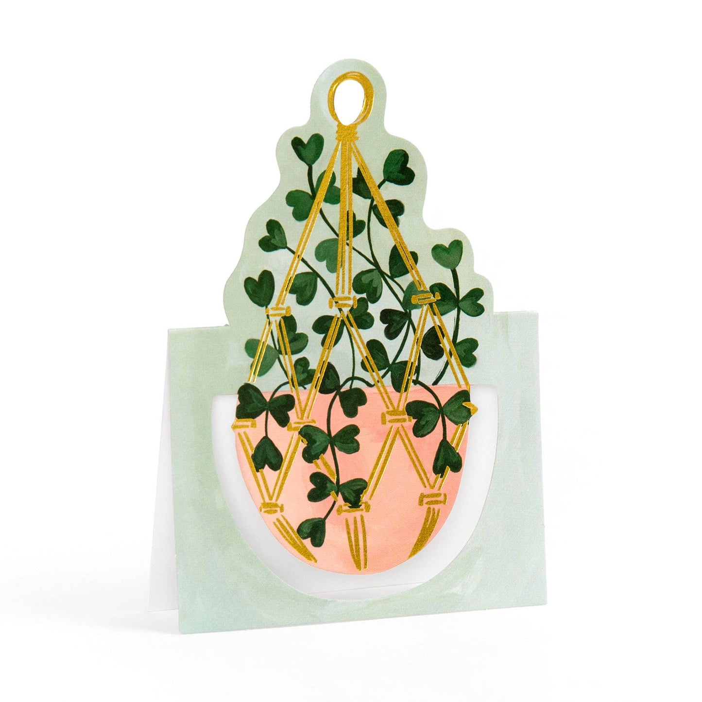 Potted Plants Pop-Up Greeting Card Box Set