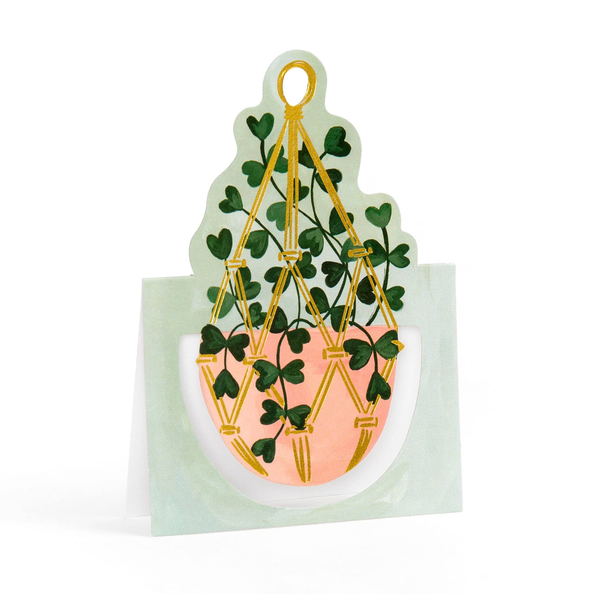 Potted Plants Mini Pop-Up Greeting Card