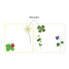 Wildflower Pop-Up Memo Pad Set