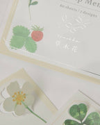 Wildflower Pop-Up Memo Pad Set