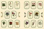Green Witch's Sticker Book