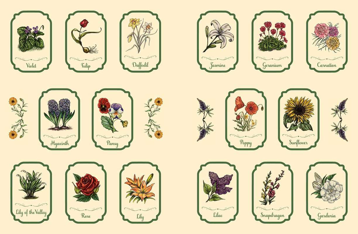 Green Witch's Sticker Book