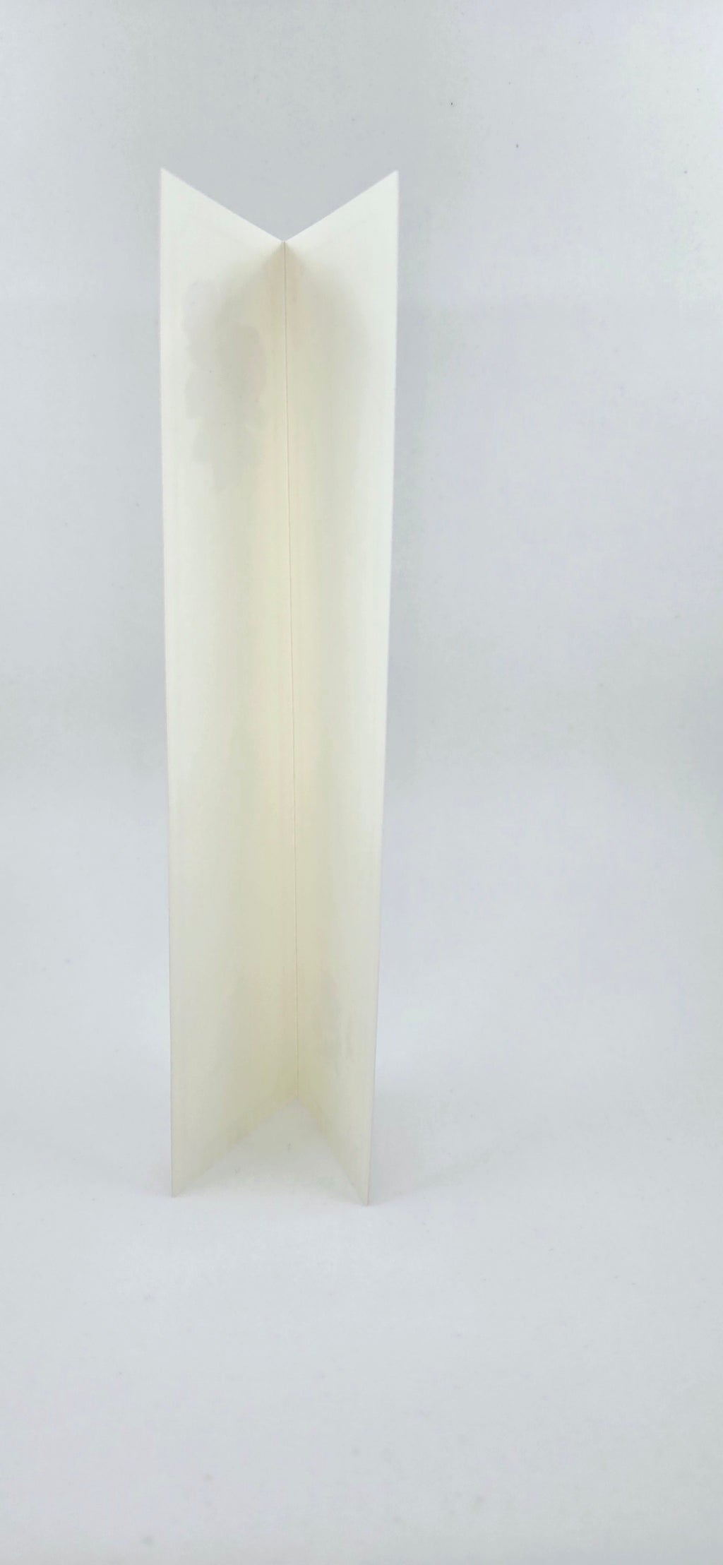 Roses Folded Bookmark