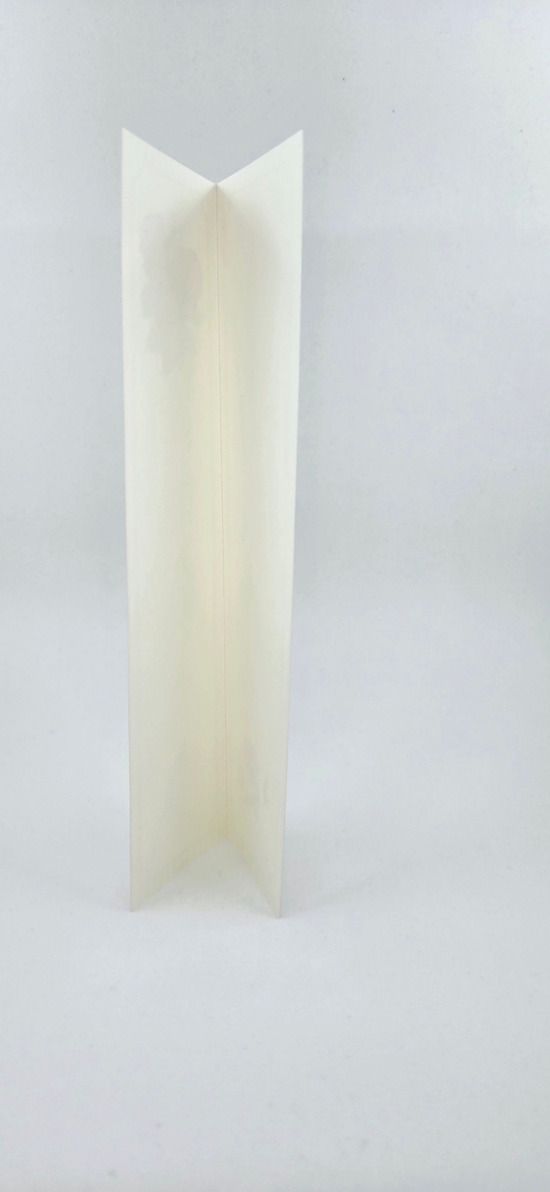 Roses Folded Bookmark