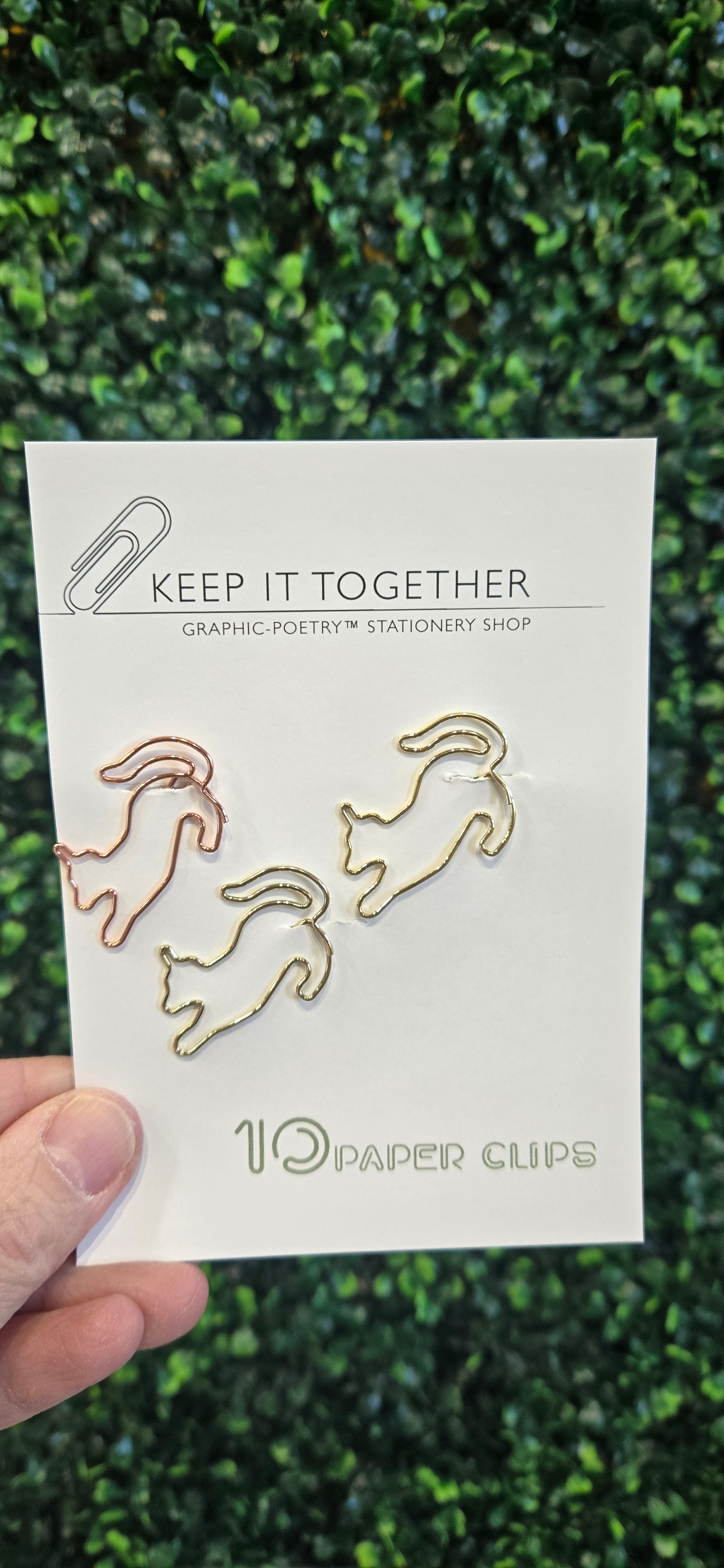 Squirrel Paperclips