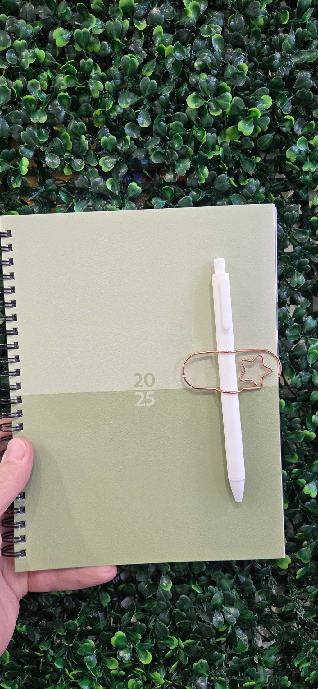 Enclosed Star Pen Holder Paper Clip