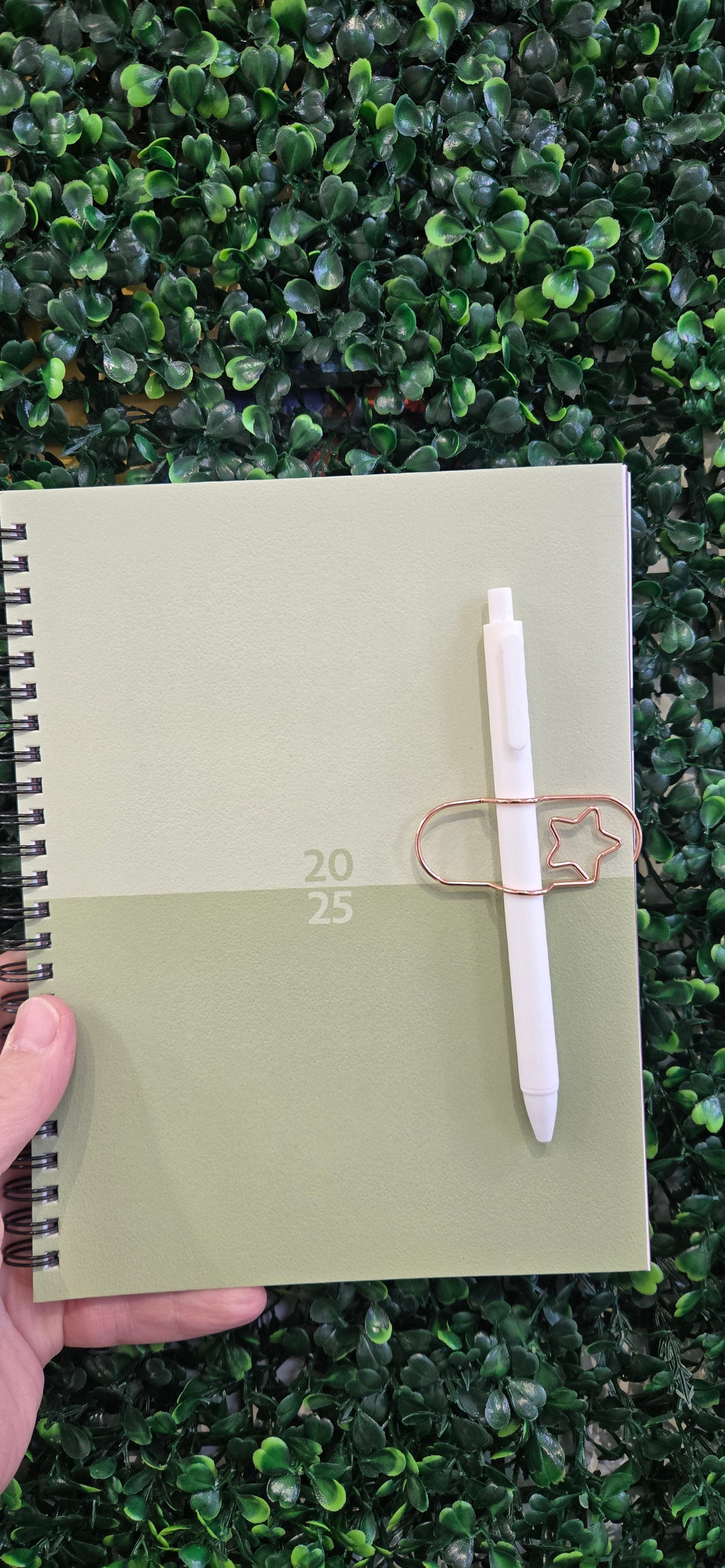 Enclosed Star Pen Holder Paper Clip