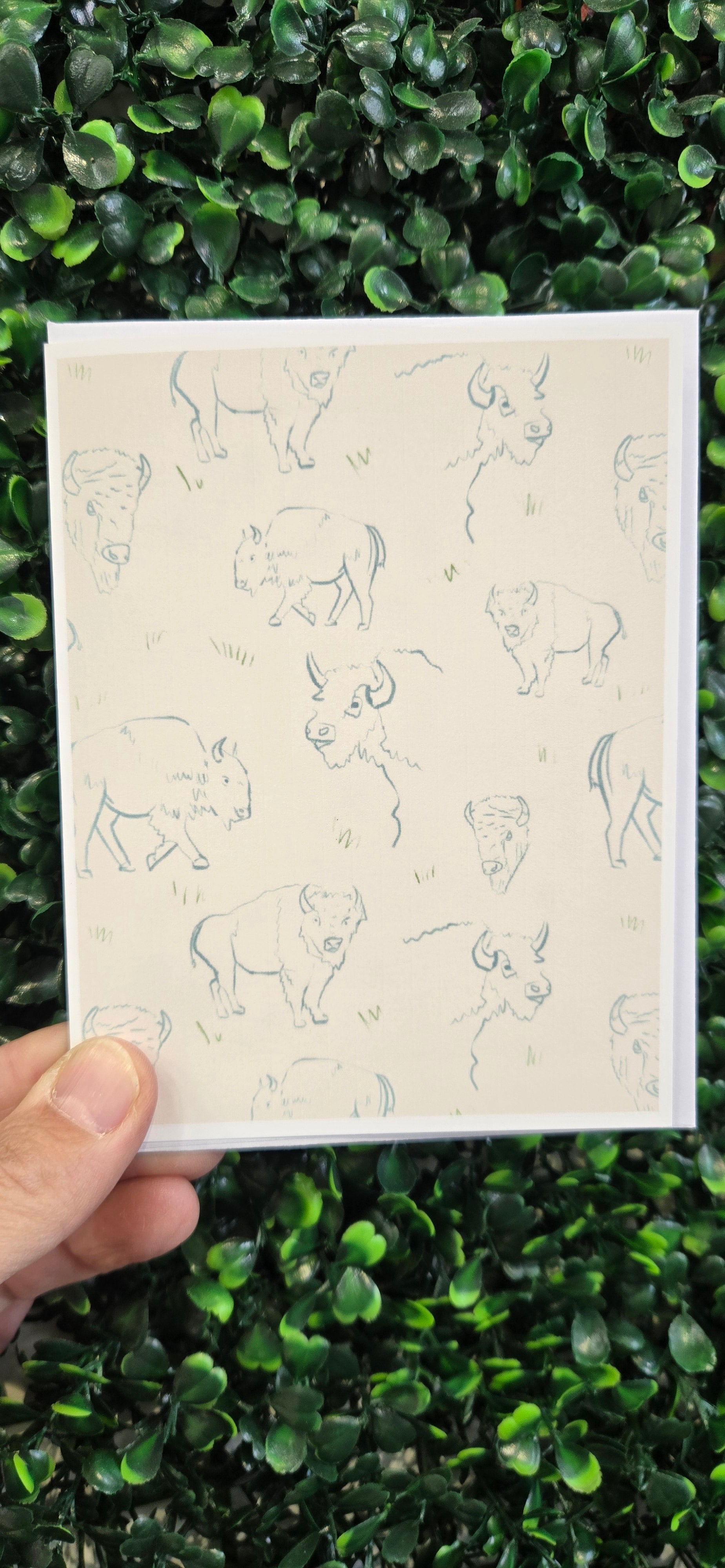 Buffalo Pattern Card