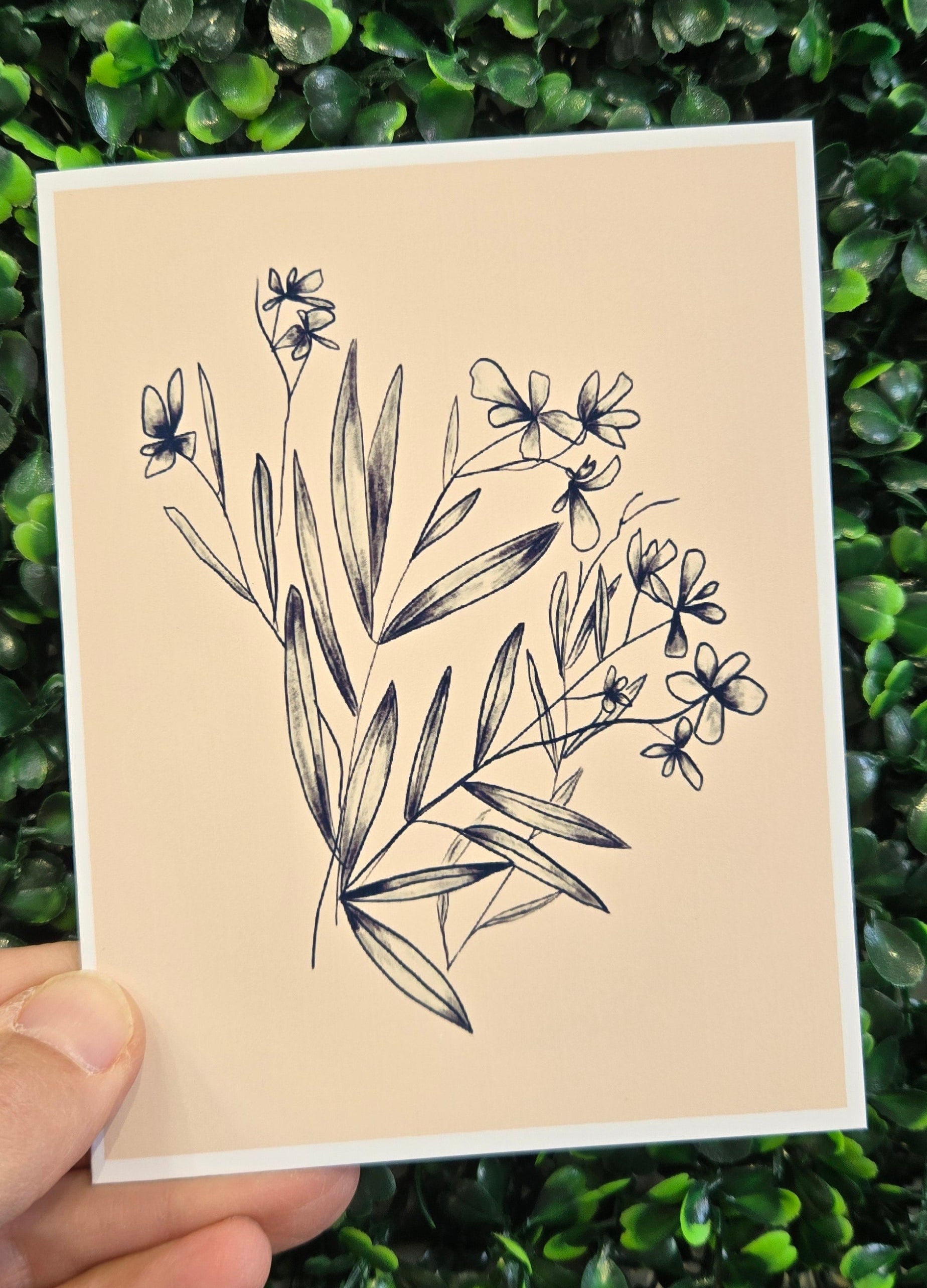 Orchids Card (Pack of 6)