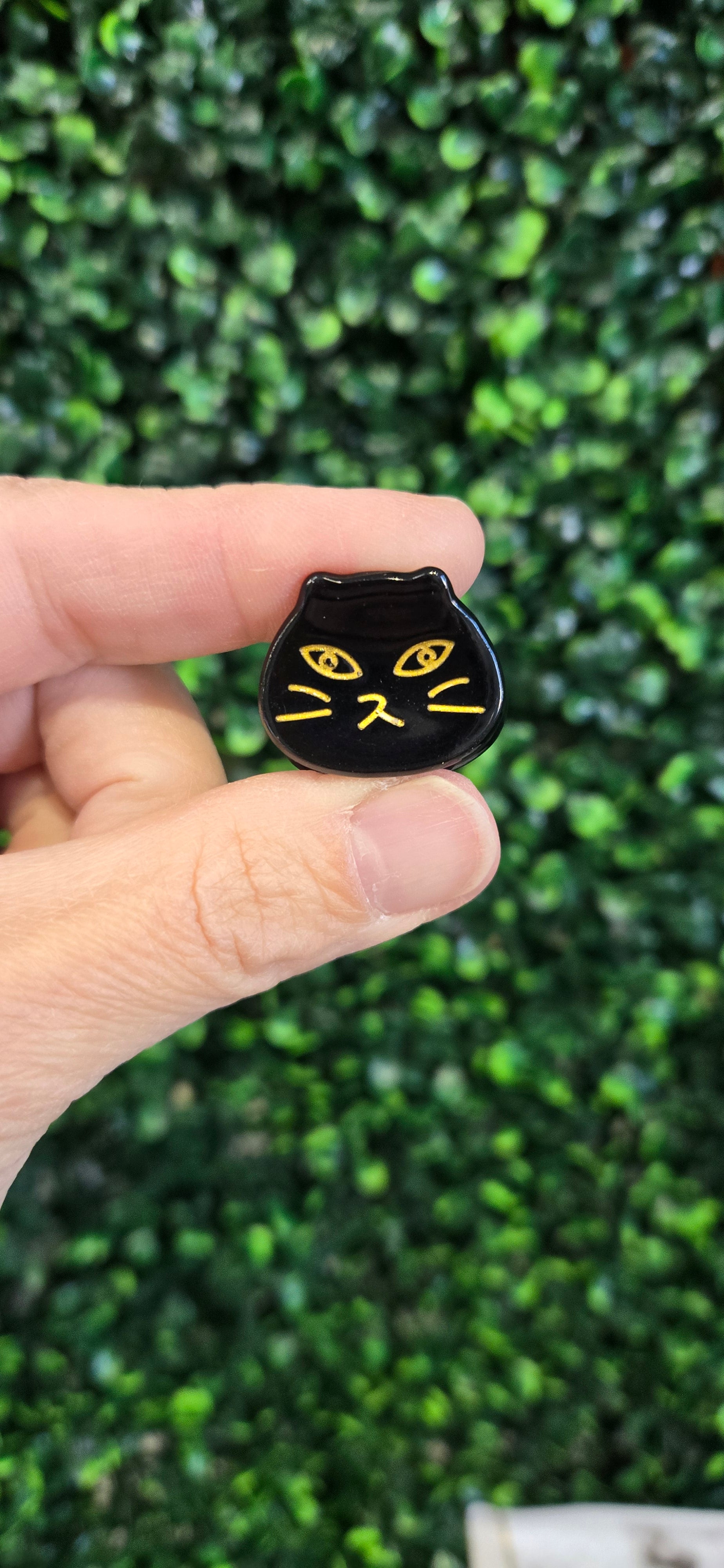 Purr-fect Pair Cat Hair Claws