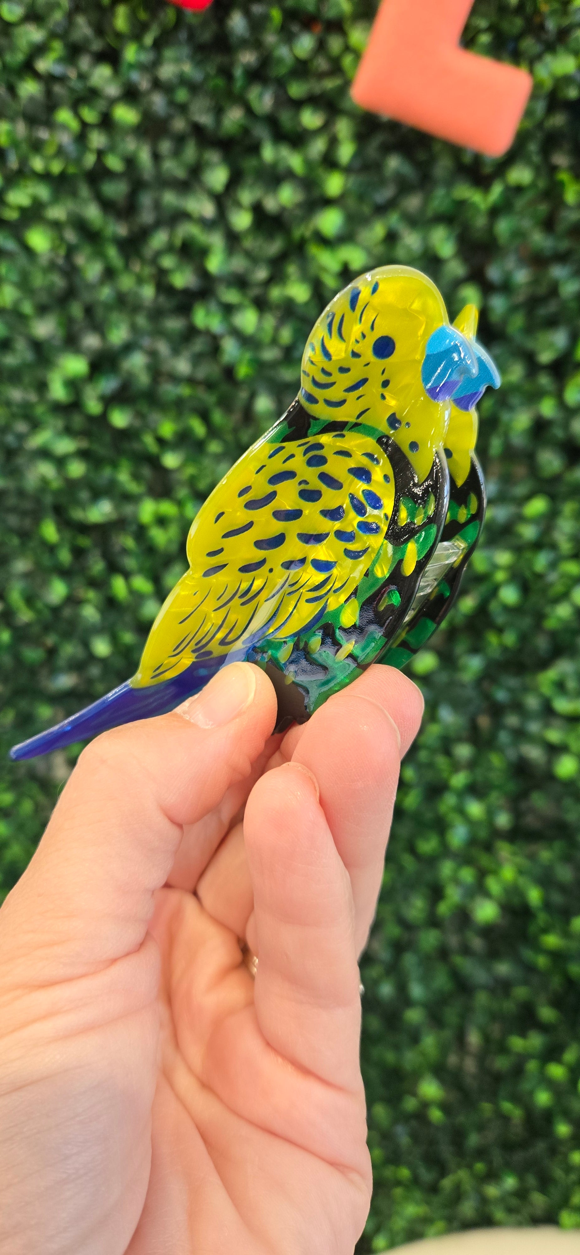 Parakeet Hair Claw