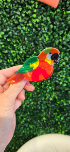 Red Parrot Hair Claw