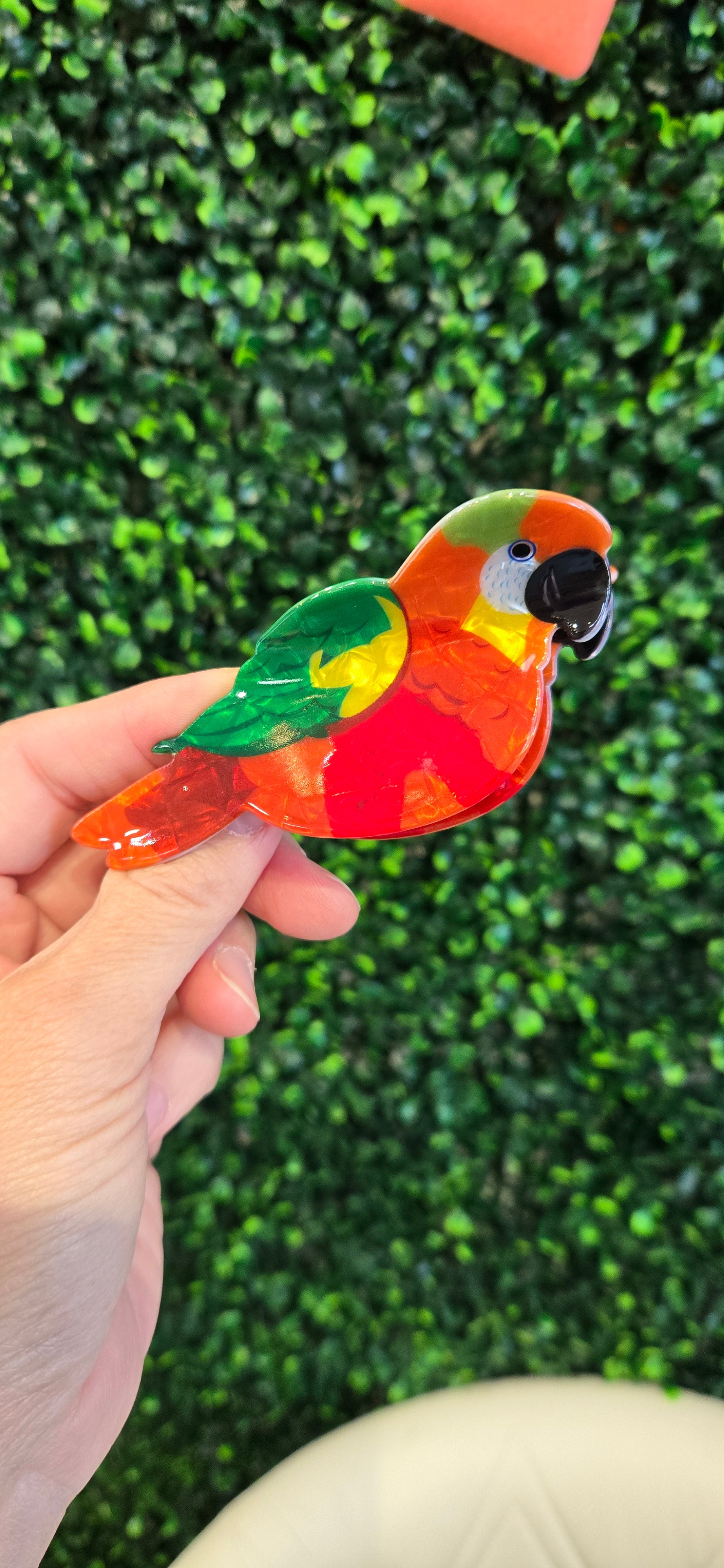 Red Parrot Hair Claw