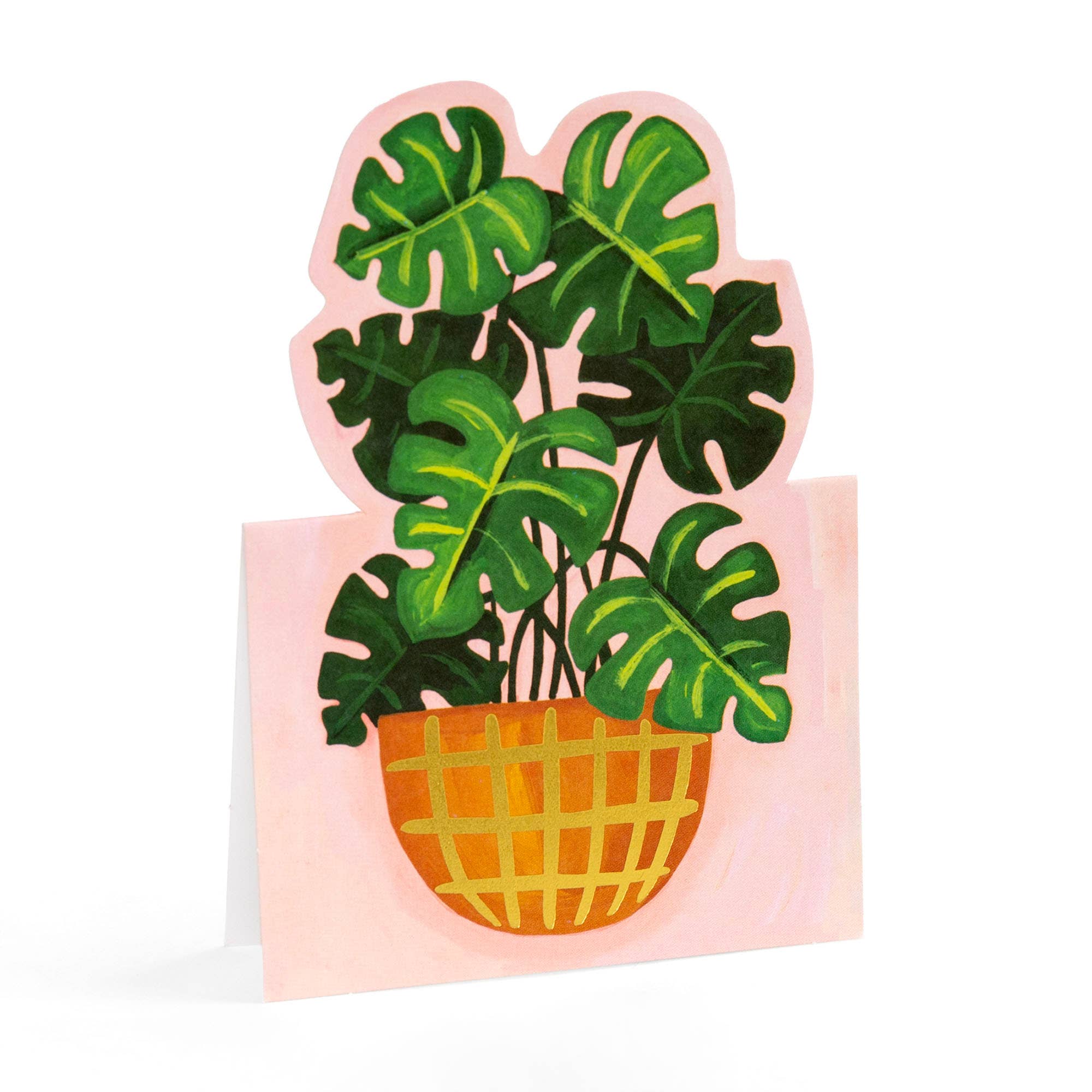 Potted Plants Mini Pop-Up Greeting Card